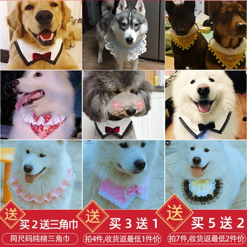 Средне -сильное собачье домашнее животное рта водоладка сатцума золотой мао ​​-лабрадор собака шарф треугольник треугольник декоративный забор