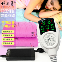 DC low-voltage electric blanket large double household safety non-radiation single student is not afraid of water heating blanket electric mattress