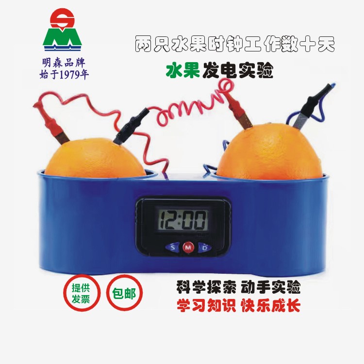 水果苹果土豆钟电化学原电池趣味科学动手实验演示小初高教学仪器