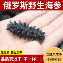 Russian sea cucumber Wild sea cucumber Imported sea cucumber two red light dried sea cucumber 80% dried sea cucumber 80 heads 50 grams