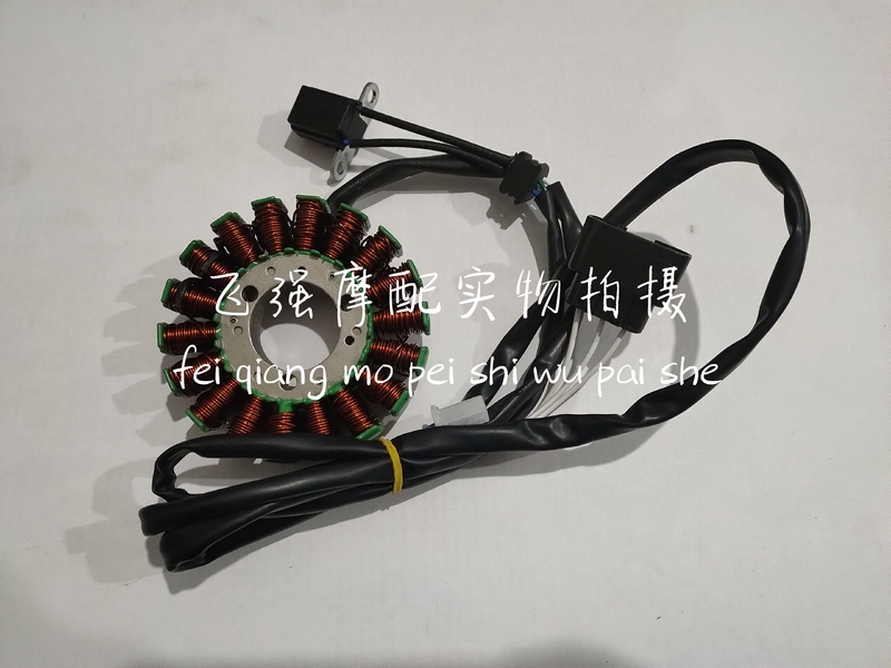 Silver Blade Bj250T-8 Stator Assembly Coil Flywheel Magneto Magnetic Steel Cylinder Assembly