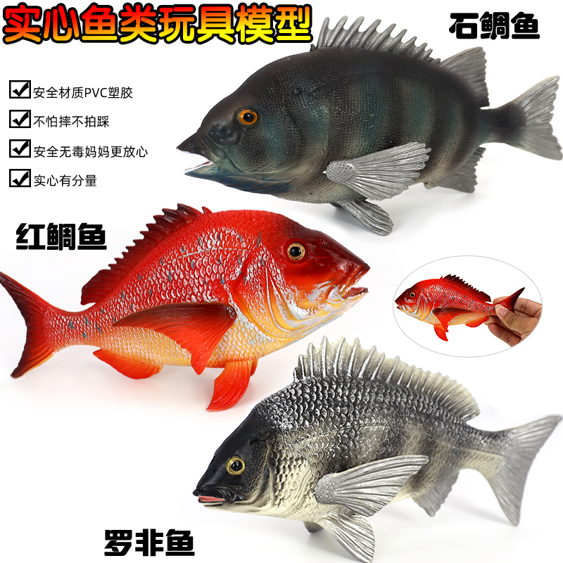 仿真海洋動物石鯛魚模型羅非魚塑膠實心擺件玩具鯉魚兒童認知禮物