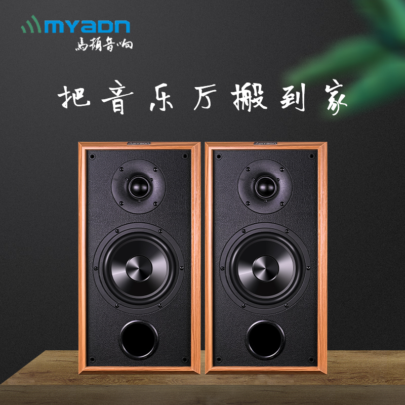 Marton Sound Old Wei RMBten thousand Class Poetry Lane Wind 6 5 inches High fidelity large bookshelf speaker-Taobao