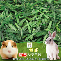 Multi-provincial barley grass leaf segment 200g rabbit Chinchilla Dutch pig Chinchilla favorite crude fiber conditioning stomach