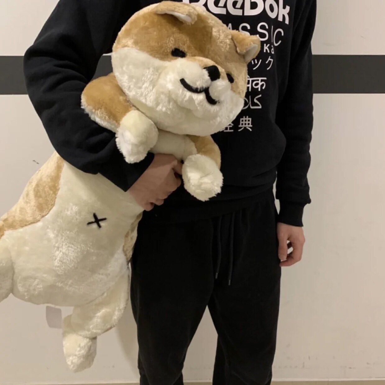 Hugging potatoes Japanese chai dogs Pillow Paparazzi Sleeping Strips Cat Kittens Sloppy cute doll plush Toy Toy Toy Toys