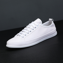 Simple fresh literary and art small white shoes male head leather strand flat single shoes casual leather shoes male European station shoes