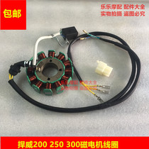 Zongshen Hanwei Foton 200 250 300 Tricycle motorcycle 12-stage coil magneto stator Hanwei