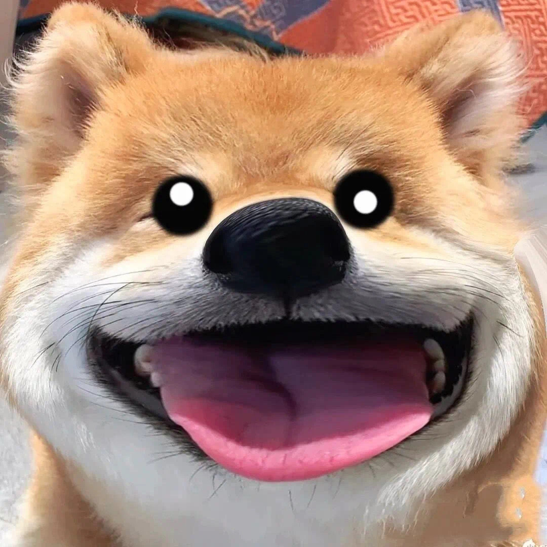 Hi 崽
