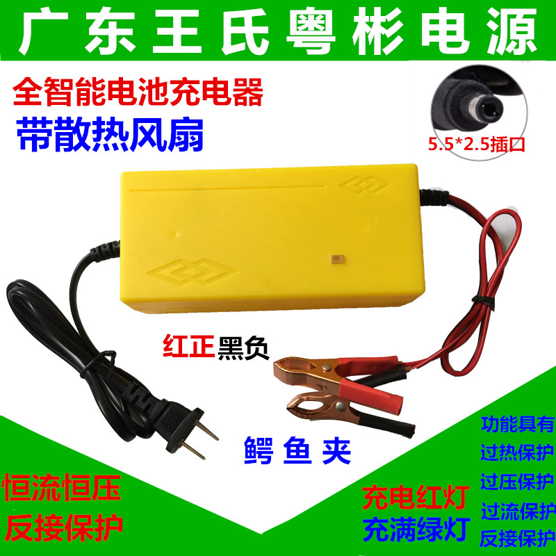 Brand intelligent single string 3 2V 3 65V lithium iron phosphate battery charger 3 65V4A anti-protection
