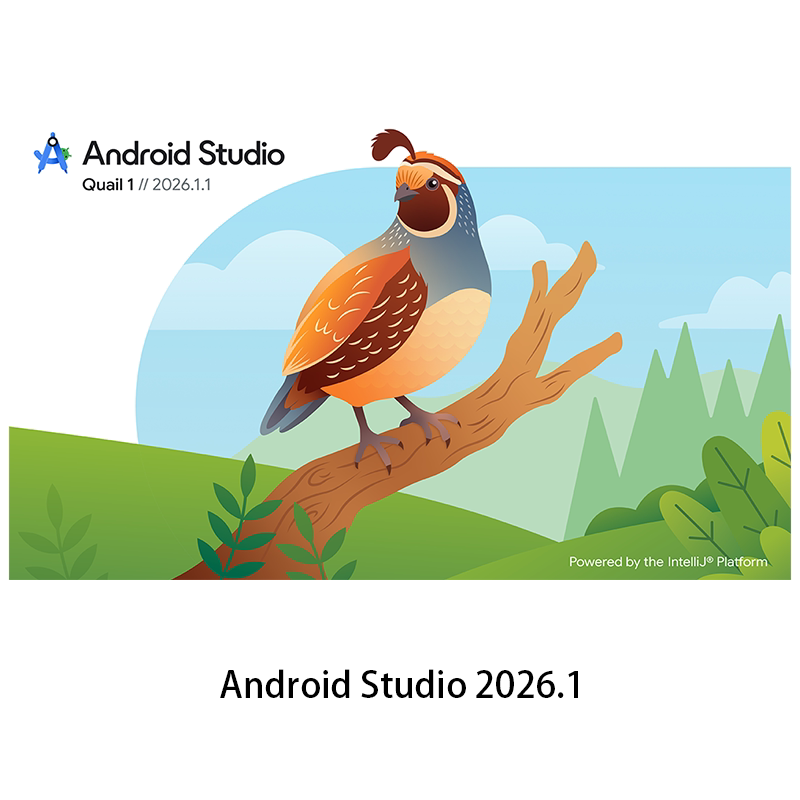 Remote Androidstudio Installation Version 2026.1 Sdk Gradle Emulator Avd Environment Variables Remote Androidstudio Installation Version 2026.1 Sdk Gradle Emulator Avd Environment Variables