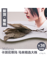 New goods whole plant authentic Malaysian Kaqi flower Tima tea original wild Kachi flower tea female tonic 250g