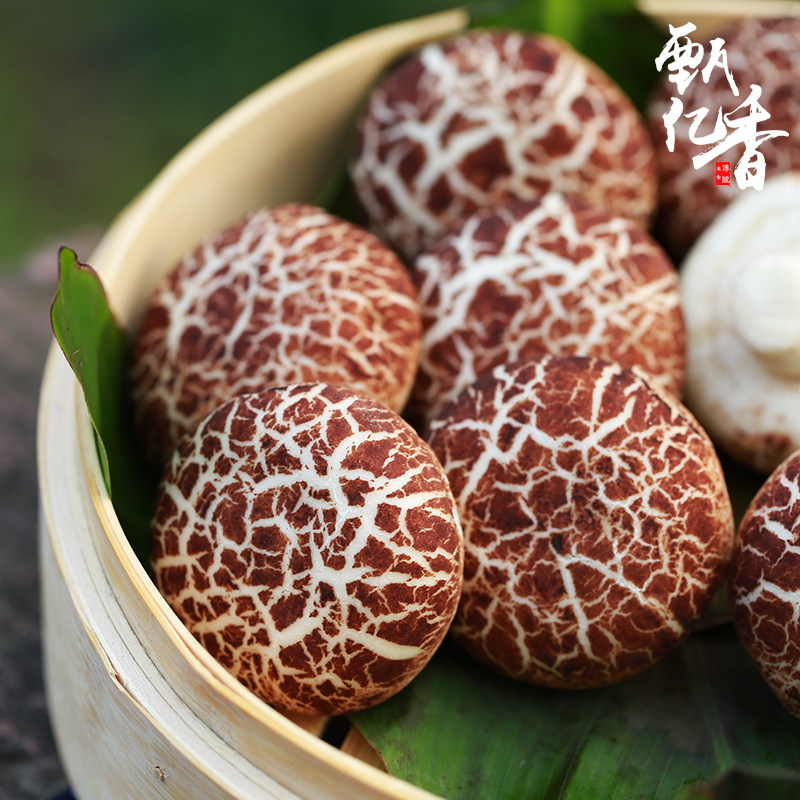 Awangda Red Sugar Mushroom Bag Children Nutrition Breakfast bread Bread-Wide Refreshment Kantun Bag 10 Family clothes