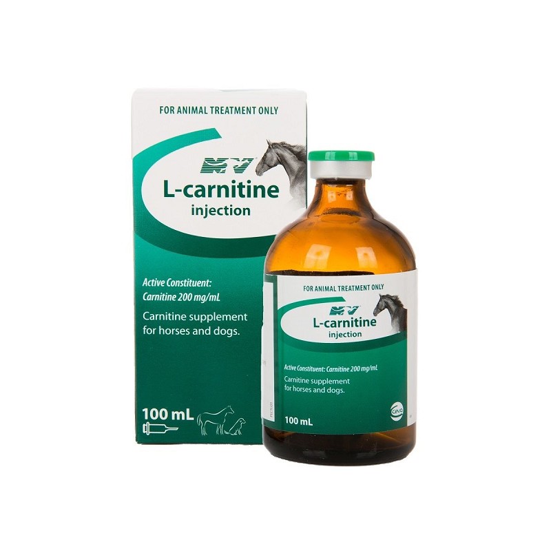 Australian original L-Carnitine 100Ml Injection horse racing dog special levocarnitine supplement-Taobao