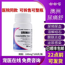 Urine Pain SchuAustralia Mafoledog Kittens Acidifying Urine Cystitis Stones Crystallized Urine Blood Urinary Tract