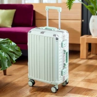 Mint Green-Aluminum Frames- [Main Picture Model]]