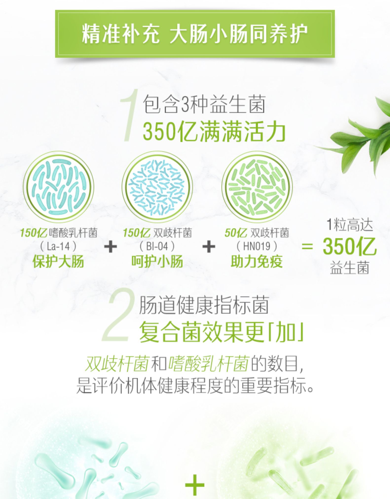 斯维诗Swisse肠道健康益生菌胶囊
