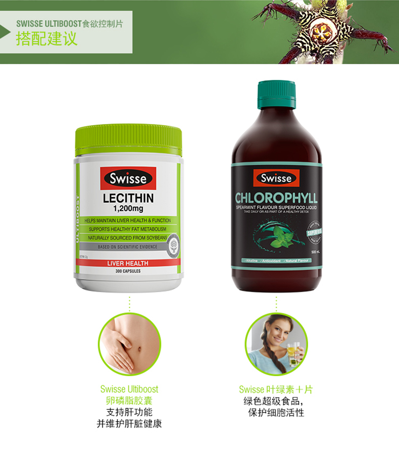 【有好货】swisse食欲控制片仙人掌精华塑型代餐50粒装6000mg 我们的产品 第12张 【有好货】swisse食欲控制片仙人掌精华塑型代餐50粒装6000mg 我们的产品 第12张