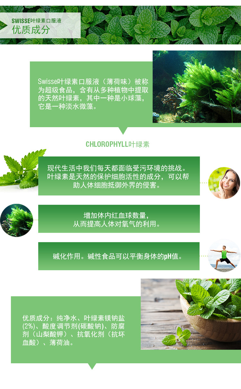 Swisse薄荷味叶绿素口服液500ml清体美颜成人调理肠胃 我们的产品 第3张 Swisse薄荷味叶绿素口服液500ml清体美颜成人调理肠胃 我们的产品 第3张