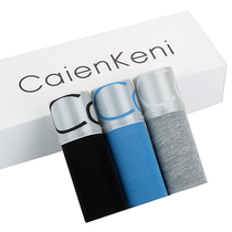 caienkeni Mens Panties Boxer Cotton Modal Breathable Panties Male Sexy Youth Teats