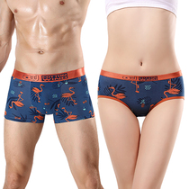 Cartoon Couple Underpants Cotton Modal Mid-waist Breathable Cute Personality Lingbird Creative Tide Korean Mens and Womens Set