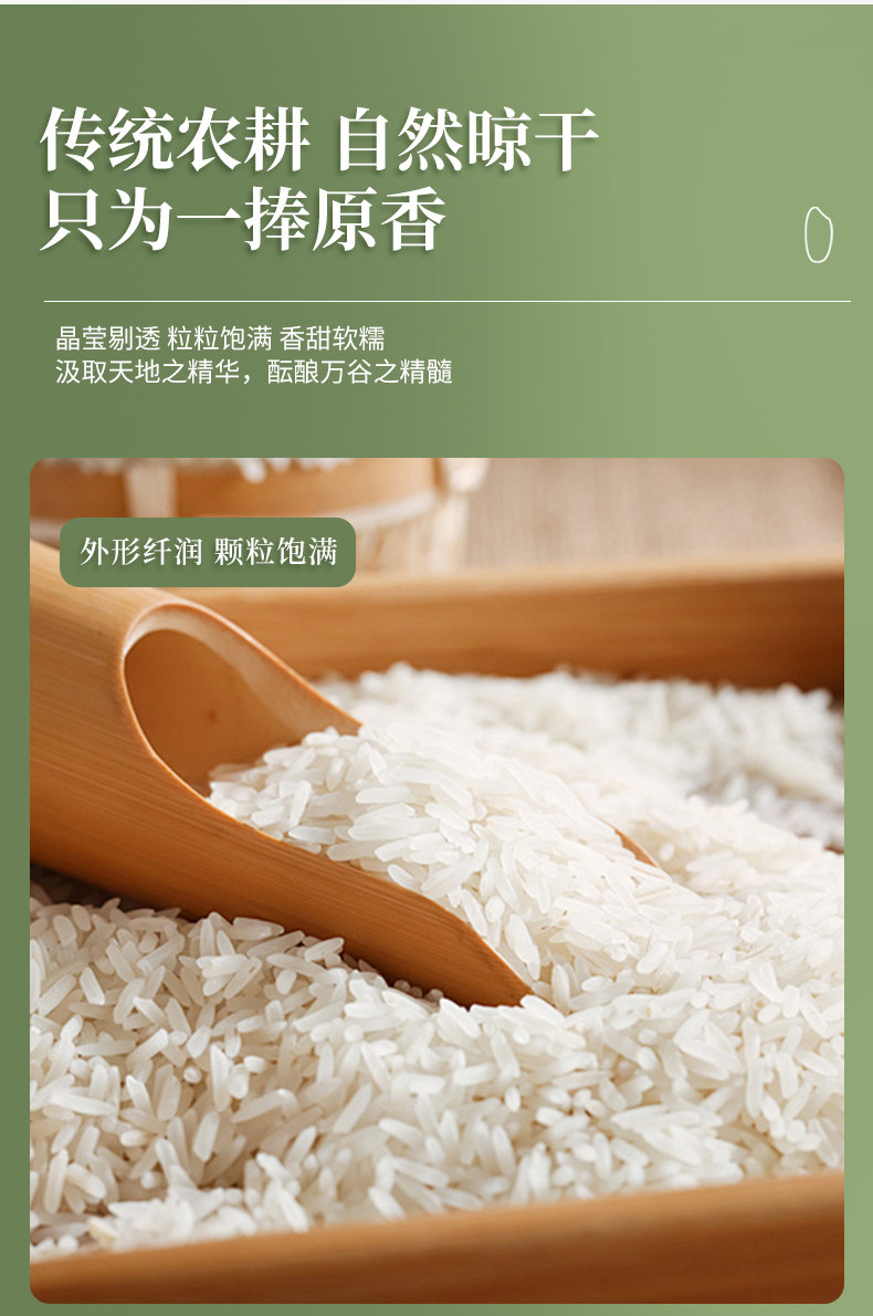 安享好物 安享B级粳米-疆粮长粒鲜米 国标 
