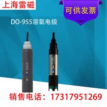 (Shanghai Lei Magnetic) DO-955 dissolved oxygen electrode online dissolved oxygen instrument