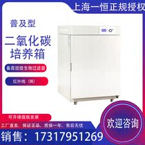 Shanghai Yiheng BPN-150CH BPN-150CW carbon dioxide incubator Laboratory cell culture box