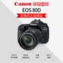 Máy ảnh Canon EOS 80D Video HD HD du lịch hàng ngày wifi mới Shen Guan International 80d - SLR kỹ thuật số chuyên nghiệp máy ảnh du lịch