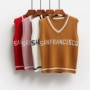Phiên bản Hàn Quốc của ulzzang mùa thu đại học gió buông cổ chữ V không tay vest vest áo len nữ sinh áo khoác nữ trung niên