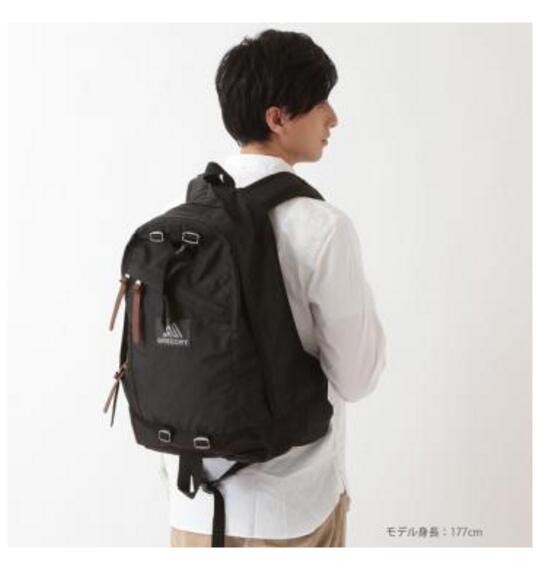 gregory day backpack