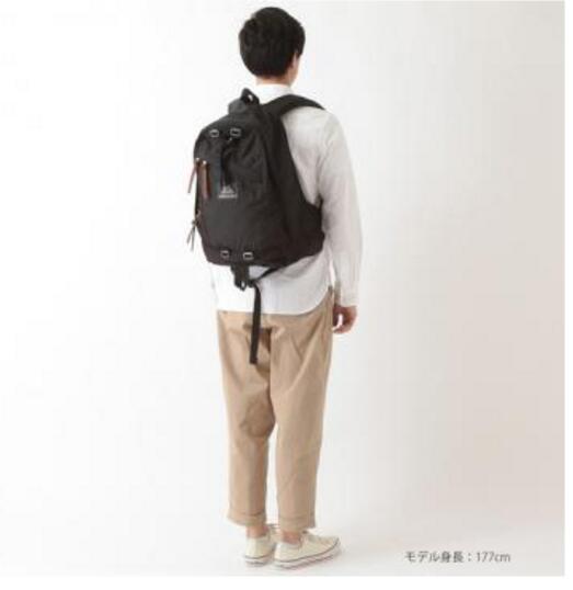 gregory day backpack