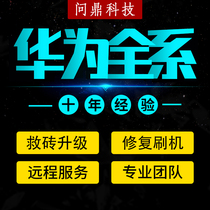 Huawei p20 brush machine OPPO upgrade VIVOy70s s6 Meizu Meizu blue 16thPRO7 rescue brick repair Android