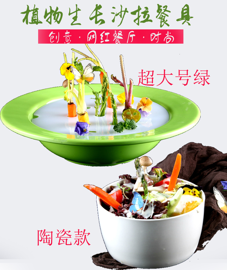 All things grow Salad cutlery will grow plants Fruit and vegetable Shake sound net red shop Fruit watering growth creative plate