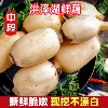 Товары от 苏北民谣
