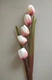 5 hoa tulip giả hoa 绢 hoa phòng khách sàn trang trí hoa trang trí hoa nhựa khô hoa cao - Hoa nhân tạo / Cây / Trái cây