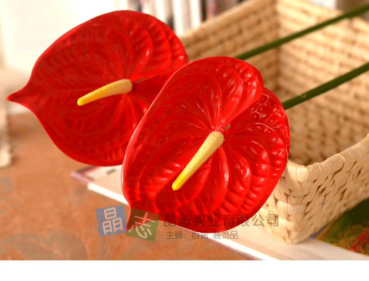 Đồ nội thất cao cấp bằng nhựa đơn màu đỏ mô phỏng anthurium 绢 hoa trang trí nhà trang trí đám cưới - Hoa nhân tạo / Cây / Trái cây cây hoa giả