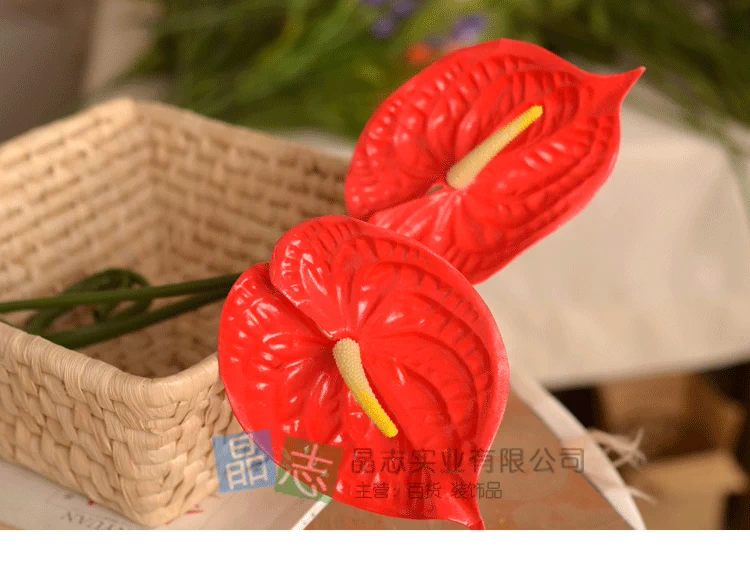 Đồ nội thất cao cấp bằng nhựa đơn màu đỏ mô phỏng anthurium 绢 hoa trang trí nhà trang trí đám cưới - Hoa nhân tạo / Cây / Trái cây