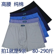 5 tải nam cotton boxer tóm tắt eo cao mùa đông dày cotton rộng giữa và tuổi già quần short đầu