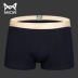 MiiOW / cat man cotton boxer liền mạch quần quần boxer thoải mái thể thao eo trẻ trung đồ lót gợi cảm nam quan lot nam trung nien Võ sĩ quyền Anh