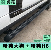 21-2023 Second Generation Haver Great Dog Electric Pedal Harvard Grand Dog Phev Special Greeting and Pedalling Side Pastoral