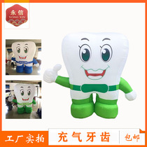 Custom Inflatable Tooth Toothbrush Model Gas Mold Emulation Toothpaste Oral Doctor Cartoon Love Dental Day Dental Arch