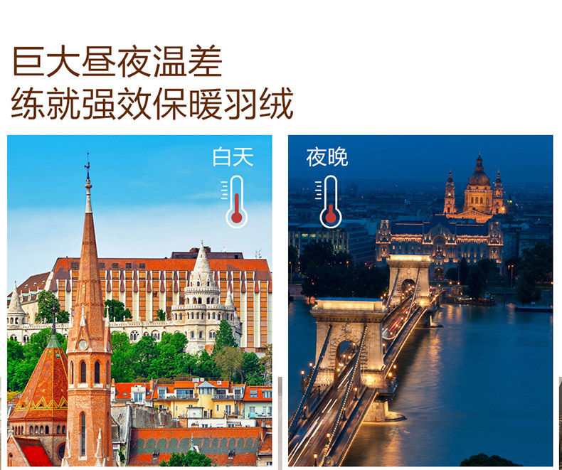 LOVO-匈牙利进口臻品鹅绒被第3代_05.jpg
