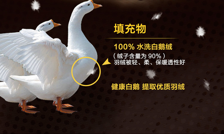 127LOVO雷克雅立体鹅绒被第3代-改_11.jpg