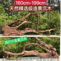160cm-199cm large sunken wooden arch bridge South America Multi-branch View branches Tree pile Purple Grapefruit Wood Decorative Pendulum