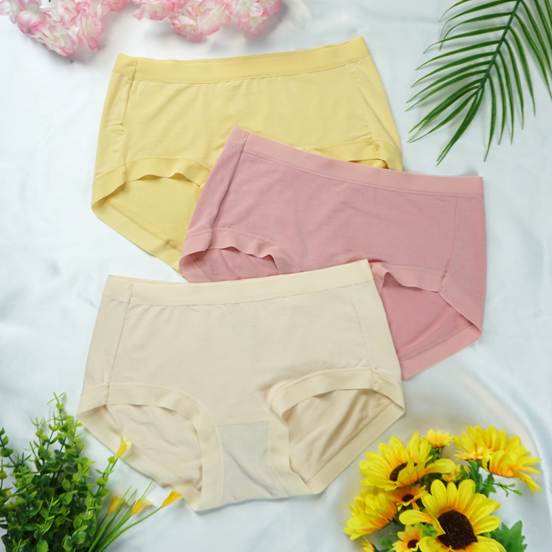 Ladies underwear Lenzing Modal summer thin section antibacterial breathable girl pure cotton mid-waist ice silk seamless trousers