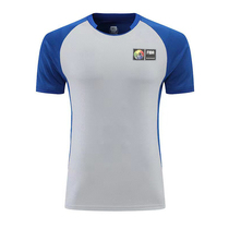 2024 New Gray Green Basketball World Championship Asian Championship Basketball Tailor Tailor-made referee uniform top availability