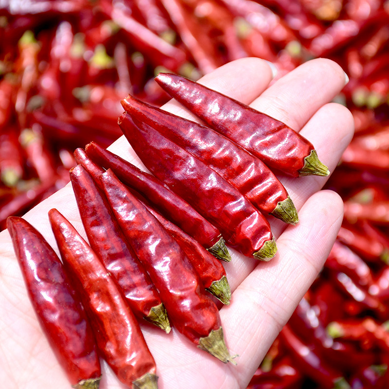 Ultra-fragrant millet chilli Zunyi Chaochiao Pepper Chili Pepper with red dried chilli peppers 7 Stars 250g
