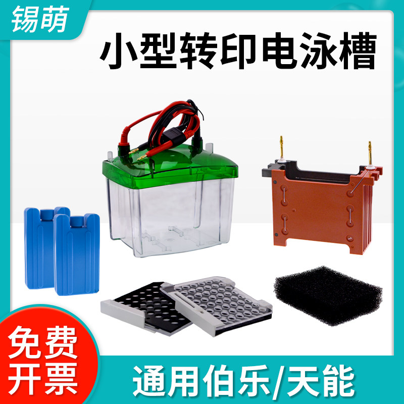 小型wb垂直转印槽蛋白槽转印海绵垫冰盒黑红芯通用bio-rad转膜槽