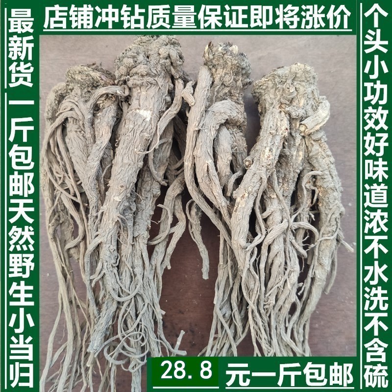 Gansu Minxian wild small angelica 500 grams of new goods no sulfur a pound 28.8 yuan default hair whole tree