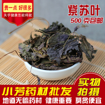 Fresh and authentic wild perilla leaves Chinese medicinal materials special-grade farmhouse perilla leaves dried goods tea roasted fish shrimps and crabs with spices
